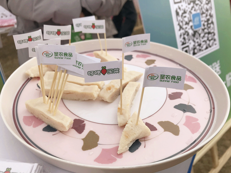 Z6尊龙·凯时(中国)-官方网站